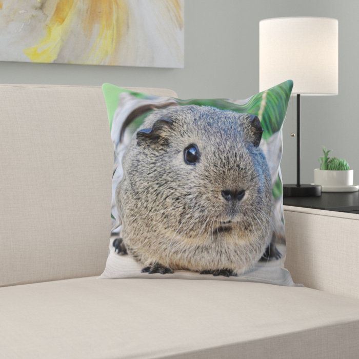 East Urban Home Guinea Pig Throw Pillow Wayfair